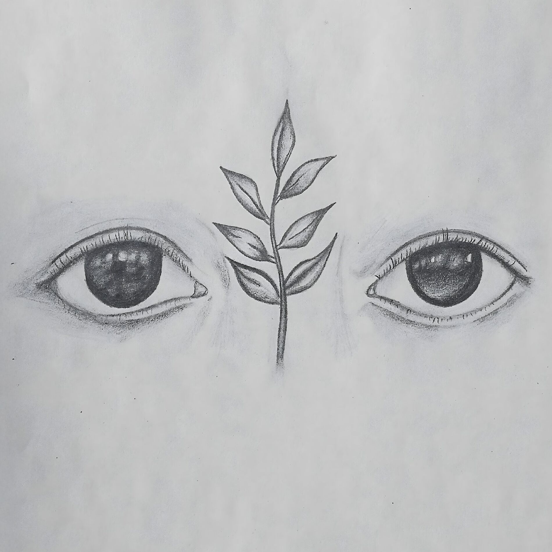 Album cover of Pedacito de Sol