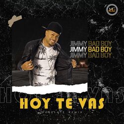 Cover of Hoy Te Vas
