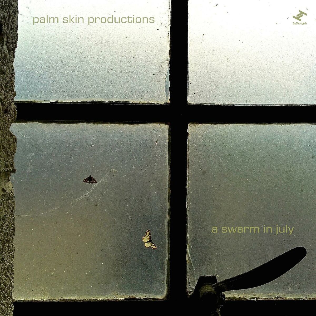 Album cover of A Swarm In July