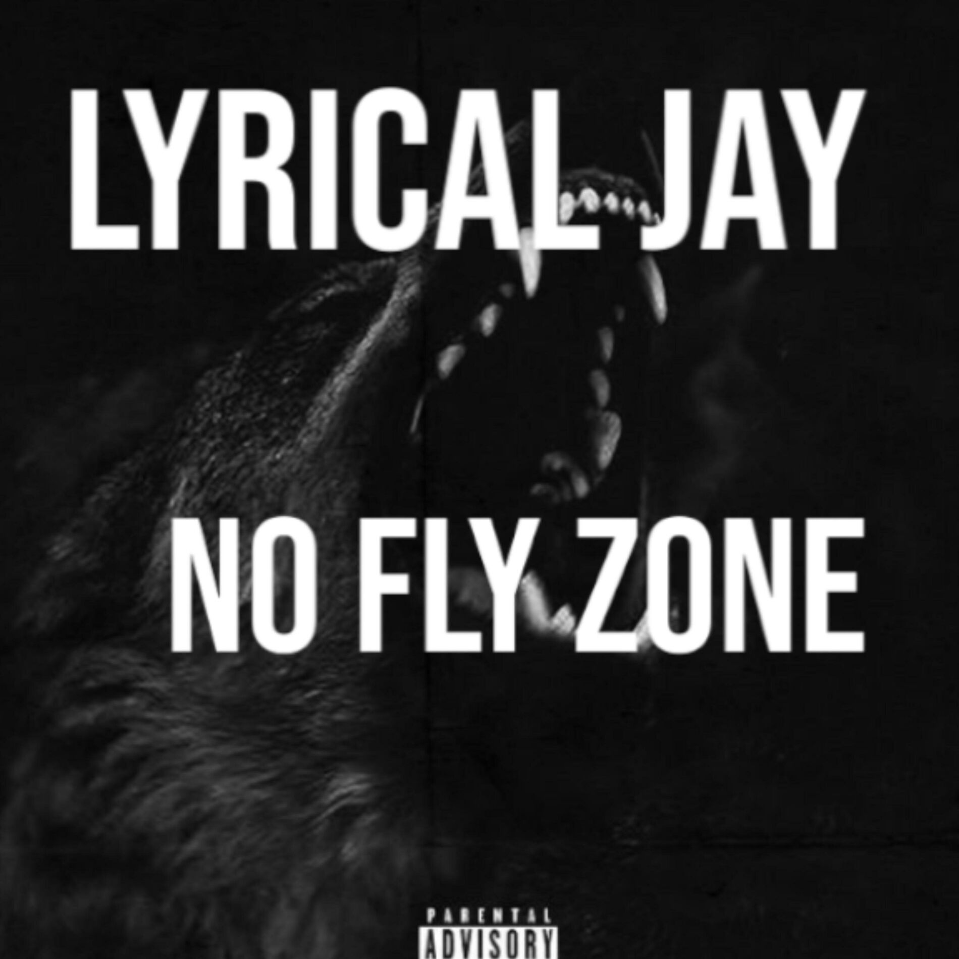 Album cover of No Fly Zone