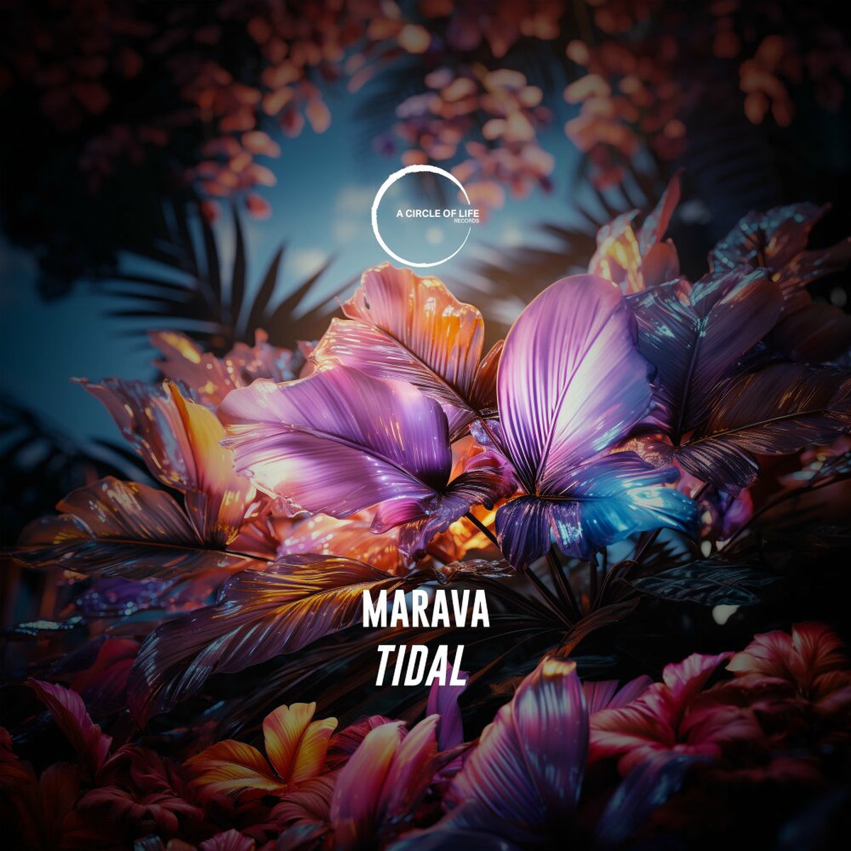 Album cover of Tidal