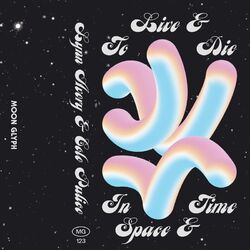 Cover of To Live & Die In Space & Time