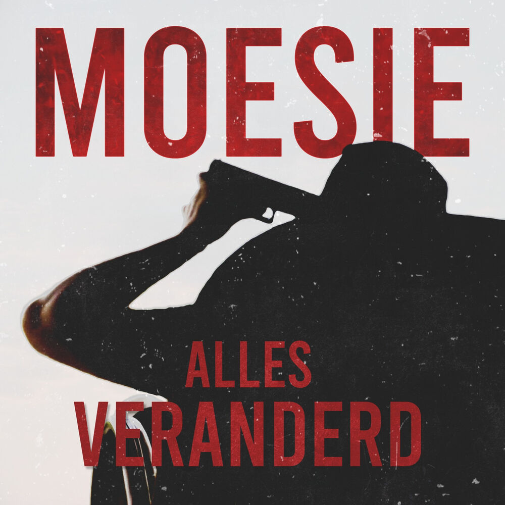 Picture of Alles Veranderd