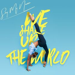 Cover of We Shake up the World