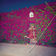 I'm Not Running Away by Feist album cover