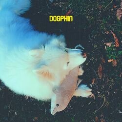 Cover of Dogphin