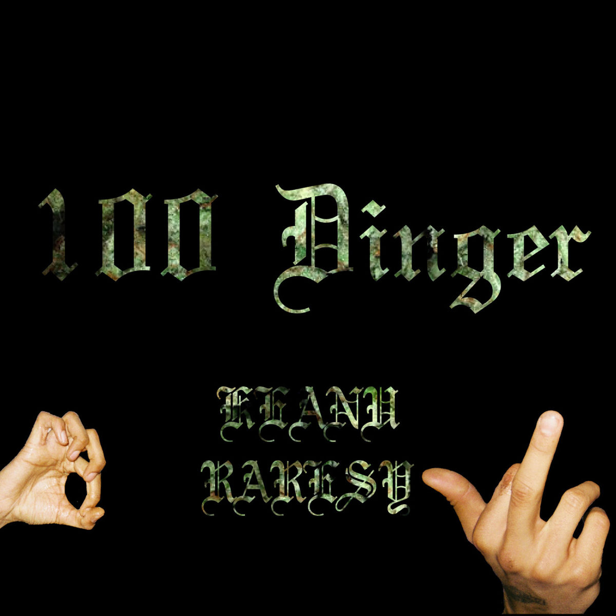 Album cover of 100 Dinger