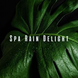 Cover of Spa Rain Delight: Tranquil Chill Sounds for Ultimate Serenity