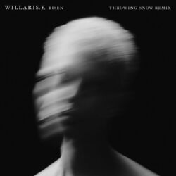 Cover of Risen (Throwing Snow Remix)