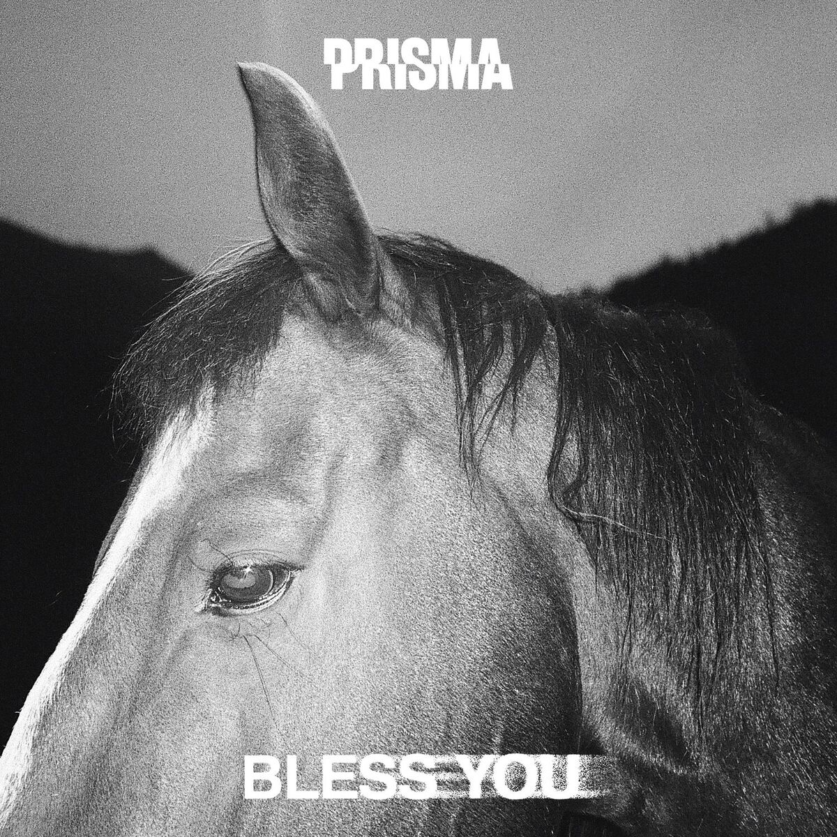 Album cover of Kingdom (Bless You Remix)