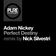 Perfect Destiny (Nick Silvestri Remix) by Adam Nickey album cover