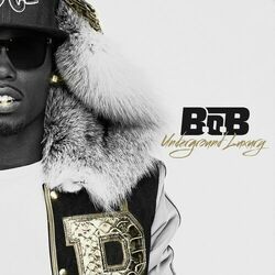 Cover of Underground Luxury