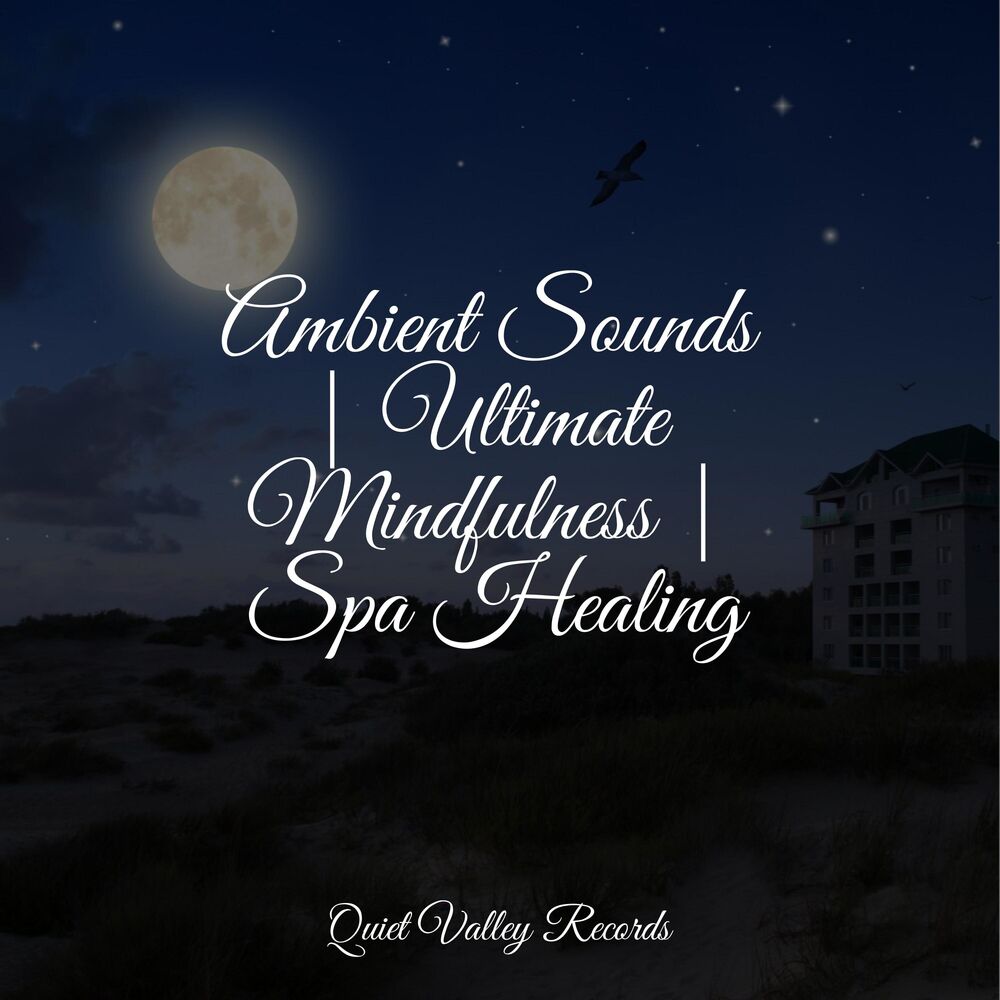 Picture of Ambient Sounds | Ultimate Mindfulness | Spa Healing