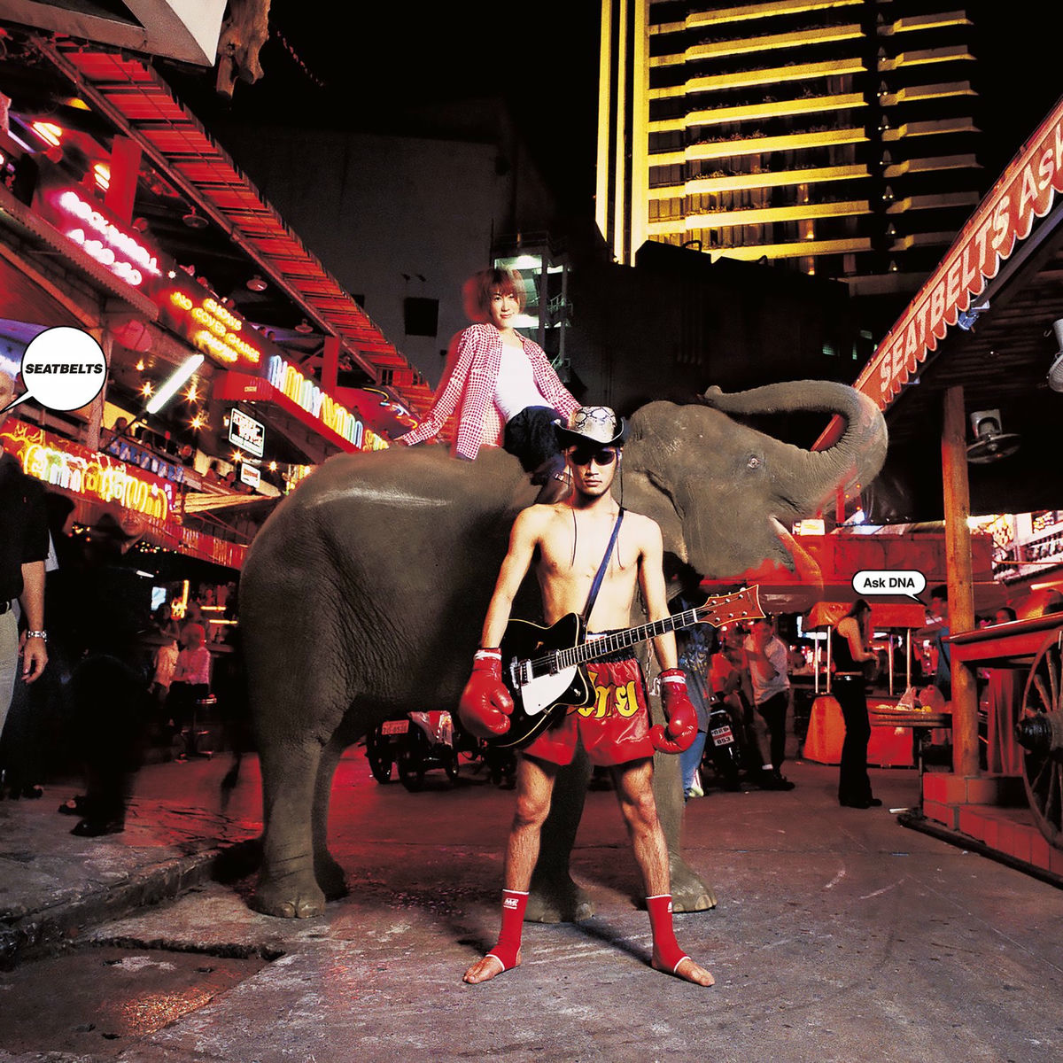 Album cover of Ask DNA