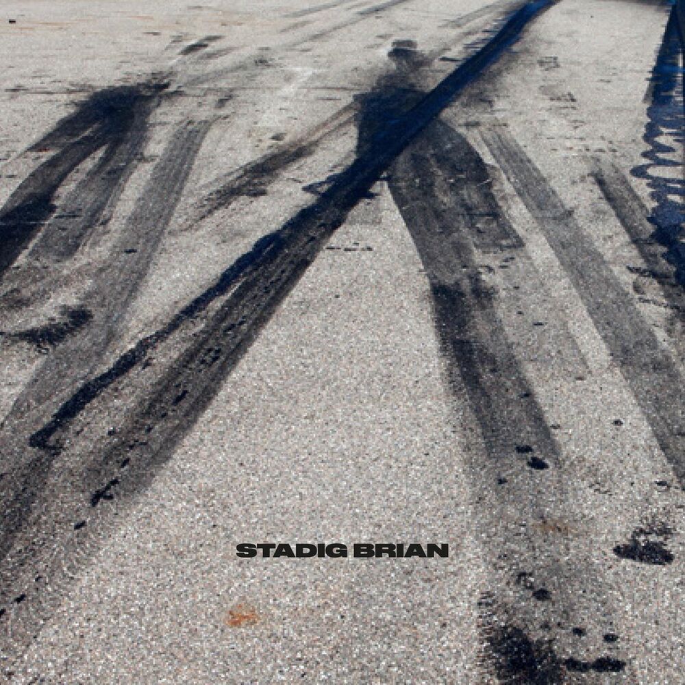 Picture of Stadig Brian