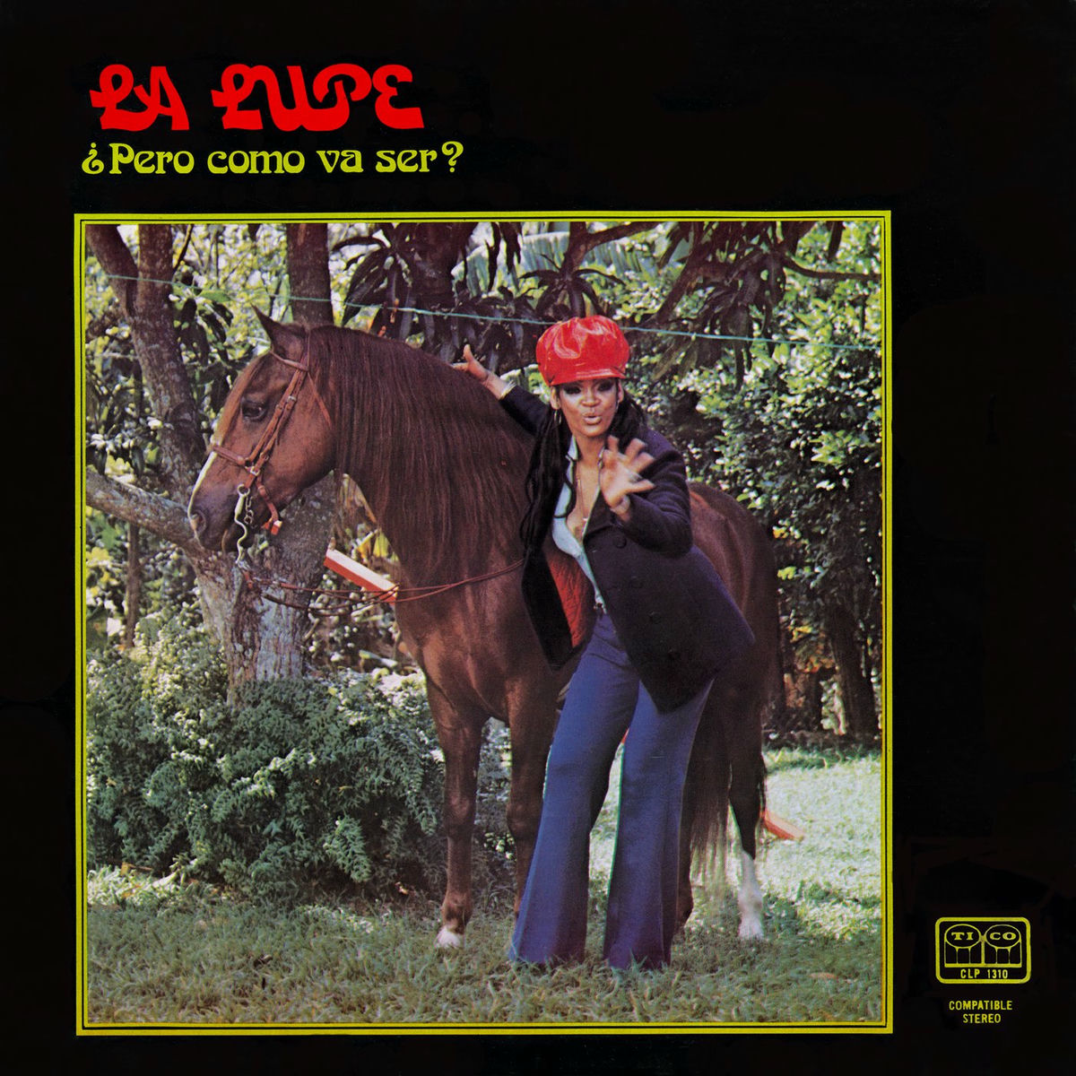 Album cover of Pero Como Va A Ser (Fania Original Remastered)