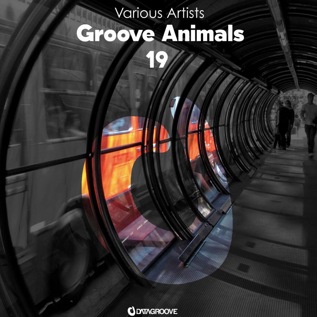 Album cover of Groove Animals 19