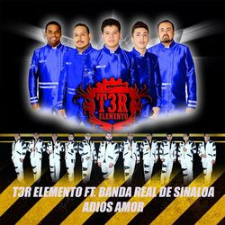 Cover of Adiós Amor