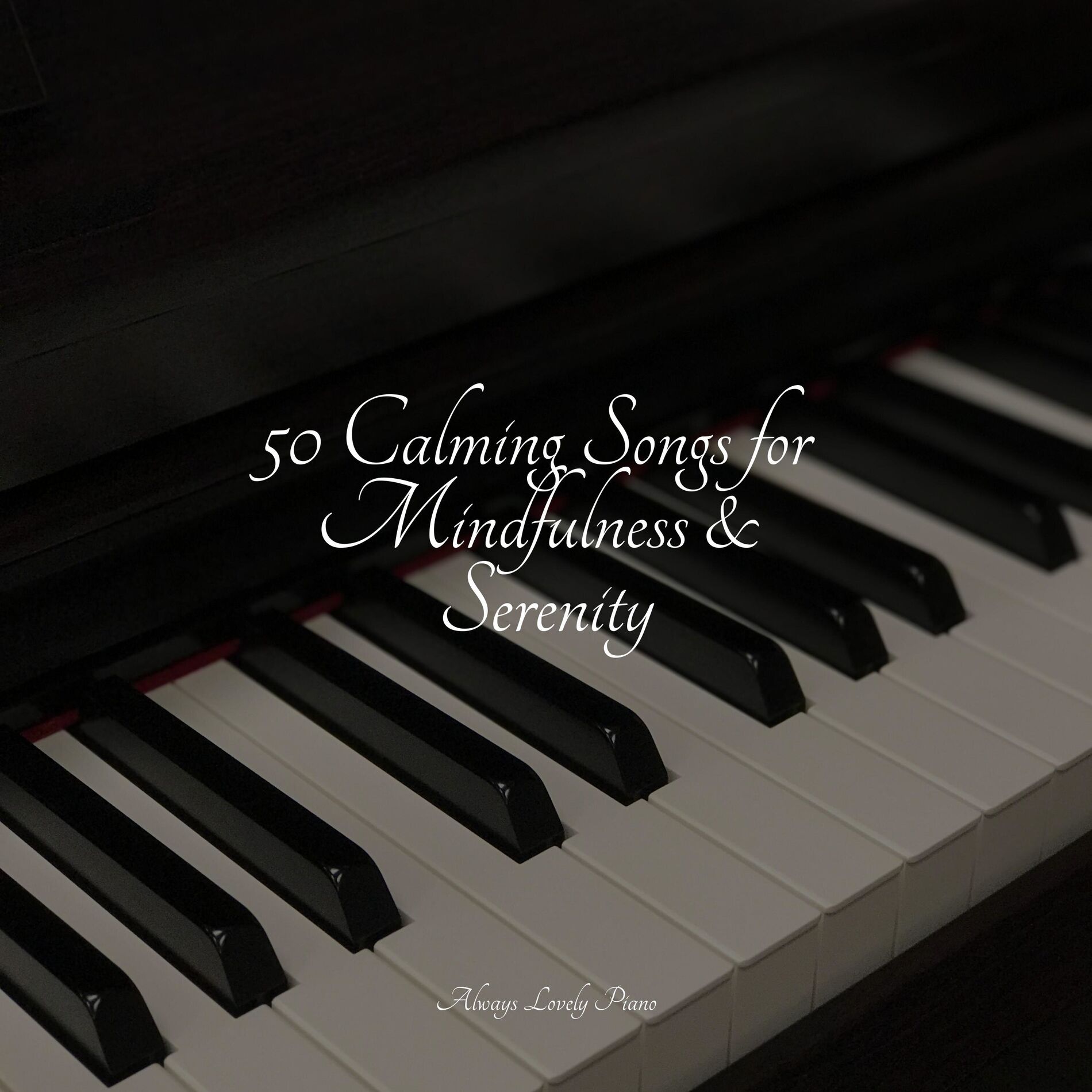 Album cover of 50 Calming Songs for Mindfulness & Serenity