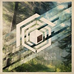 Cover of Birth