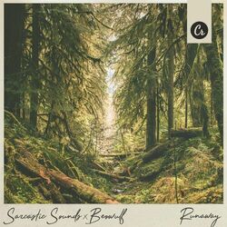 Cover of Runaway