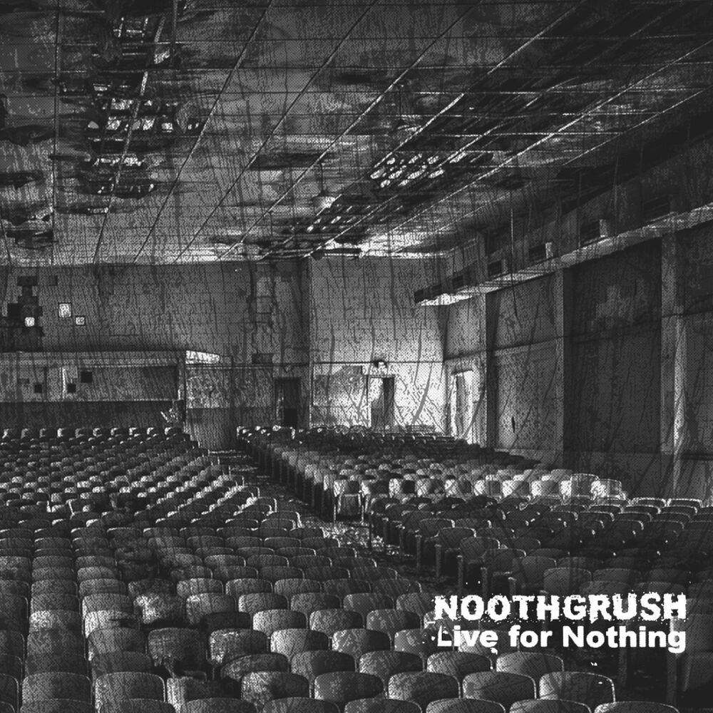 Picture of Live for Nothing