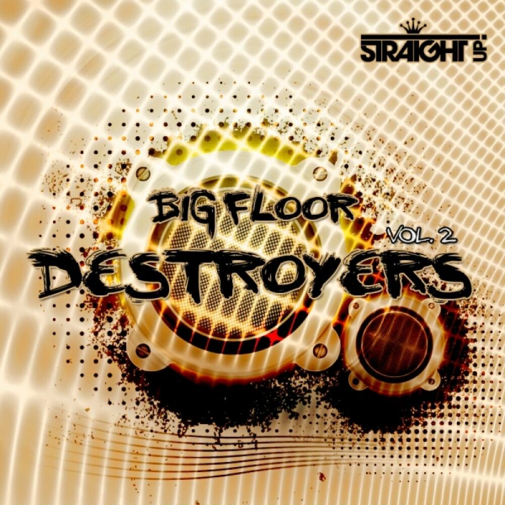 Picture of Big Floor Destroyers Vol. 2