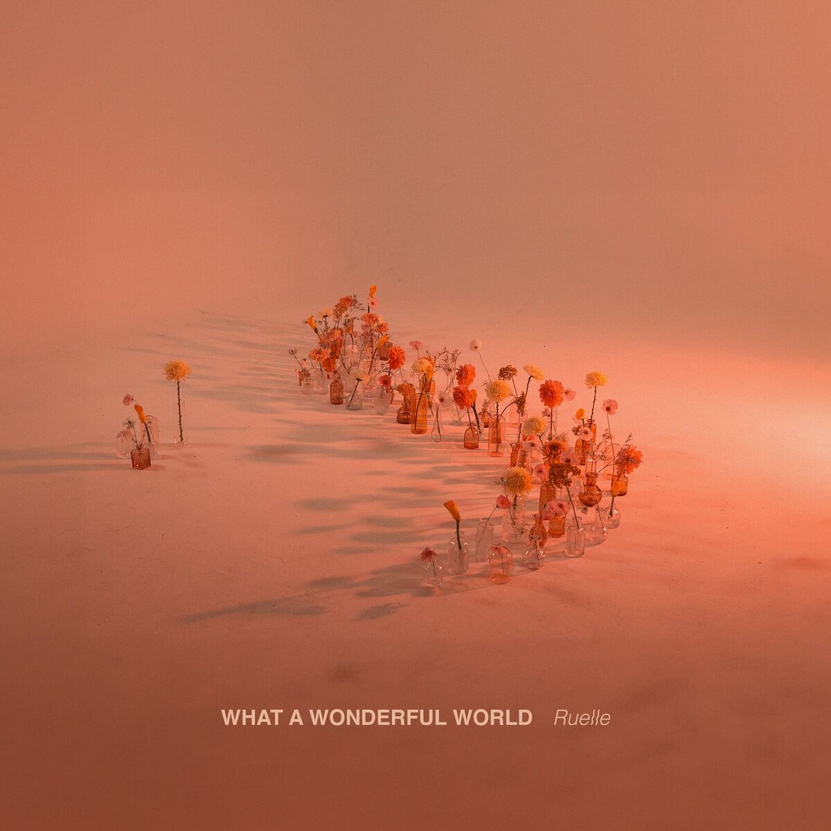 Album cover of What a Wonderful World