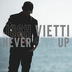 Cover of Never Give Up