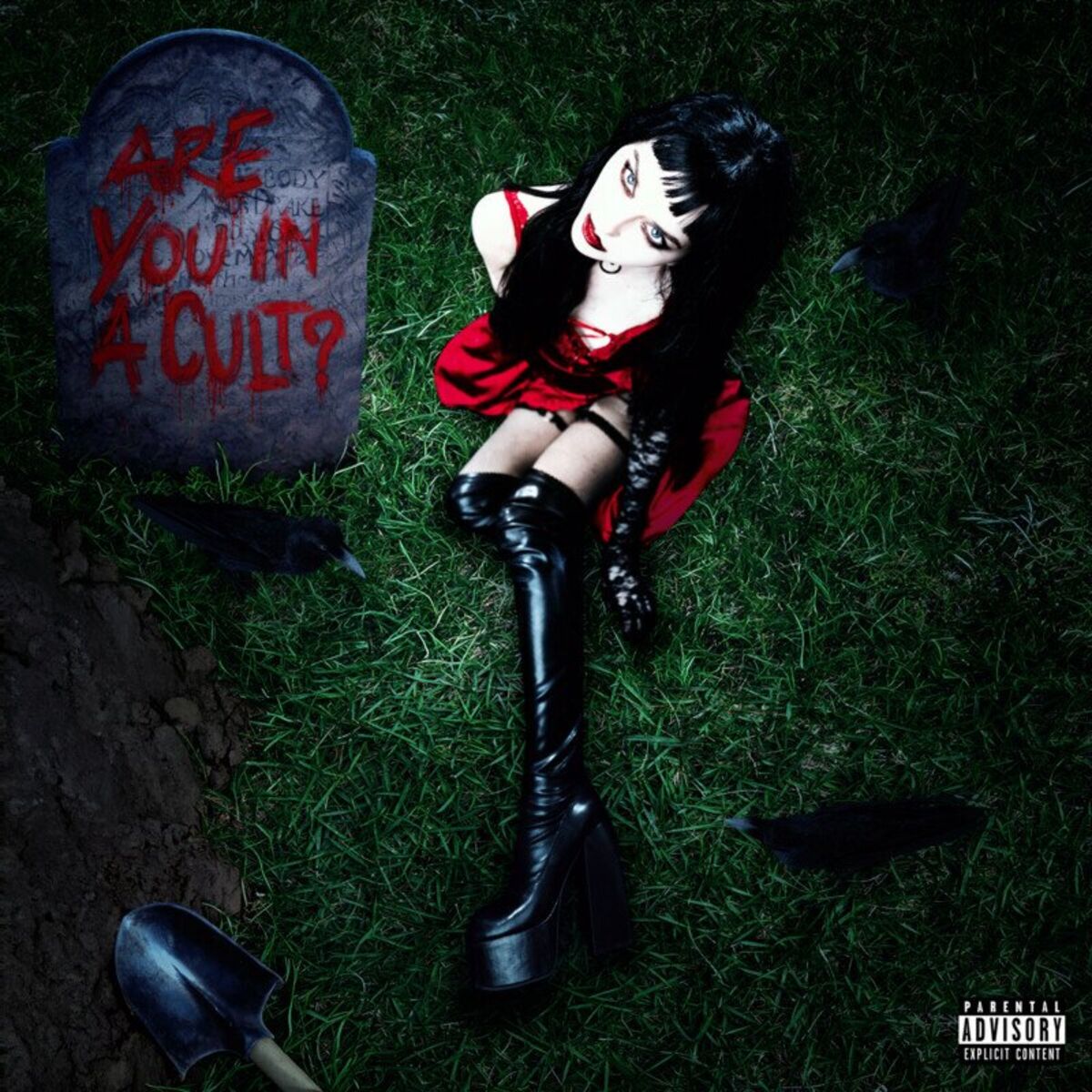 Album cover of Are You in a Cult?