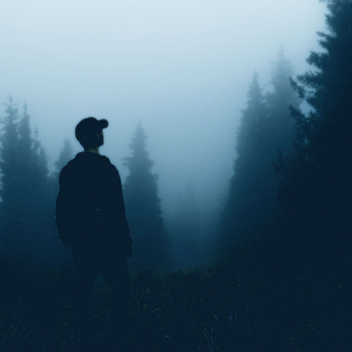 Album cover of ghostwave