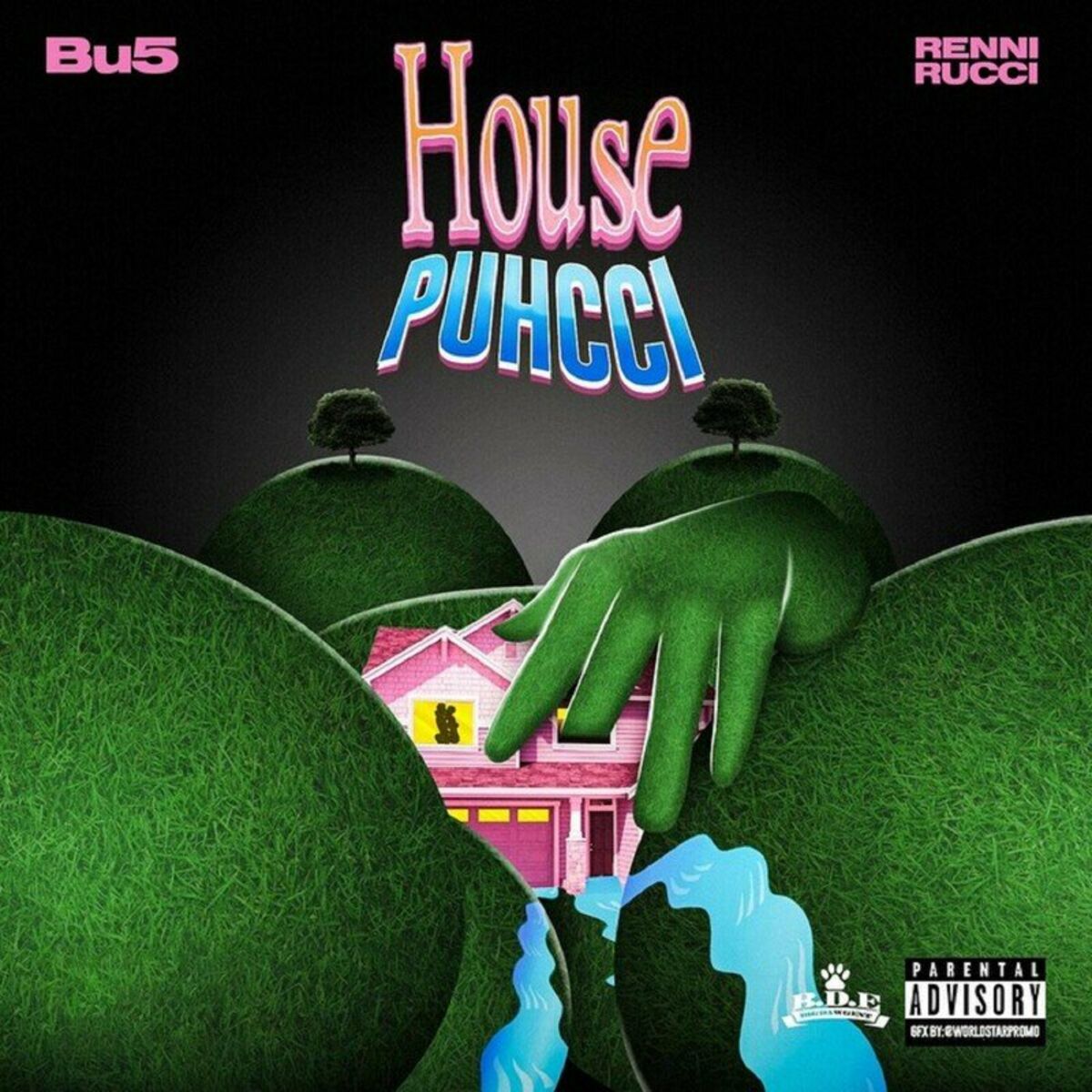 Album cover of House Puhcci