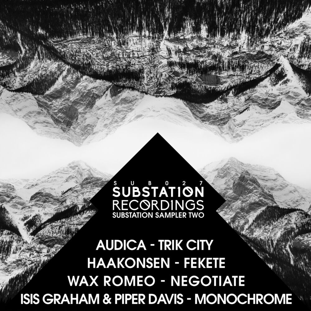 Picture of Substation Sampler 2