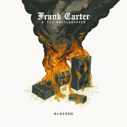 Cover of Blossom
