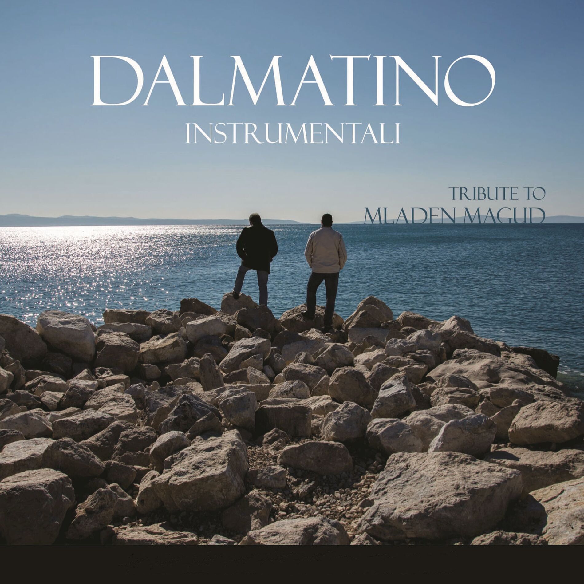Album cover of Litnji Fjužn