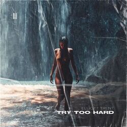 Cover of Try Too Hard