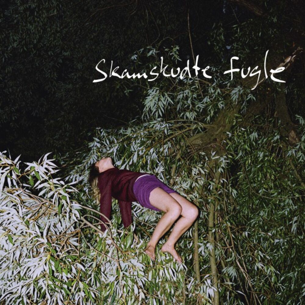 Picture of Skamskudte Fugle