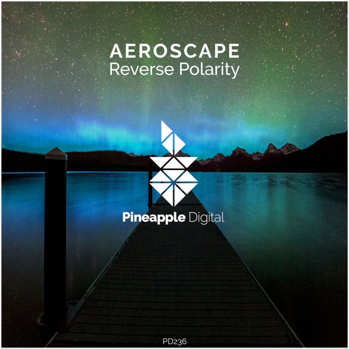 Album cover of Reverse Polarity