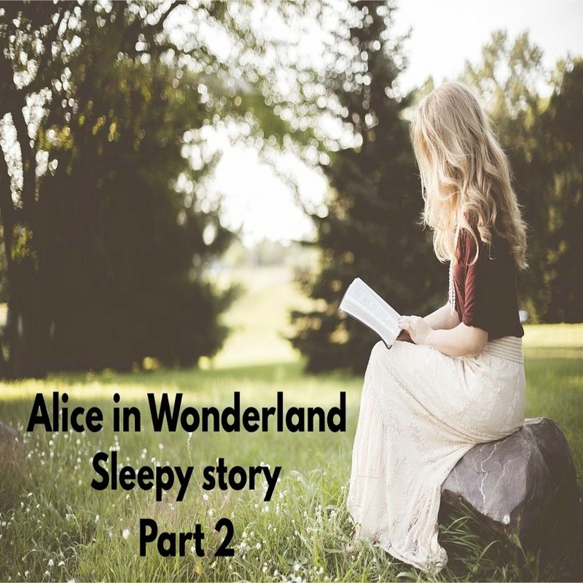 Album cover of Alice In Wonderland Sleepy Story, Pt 2