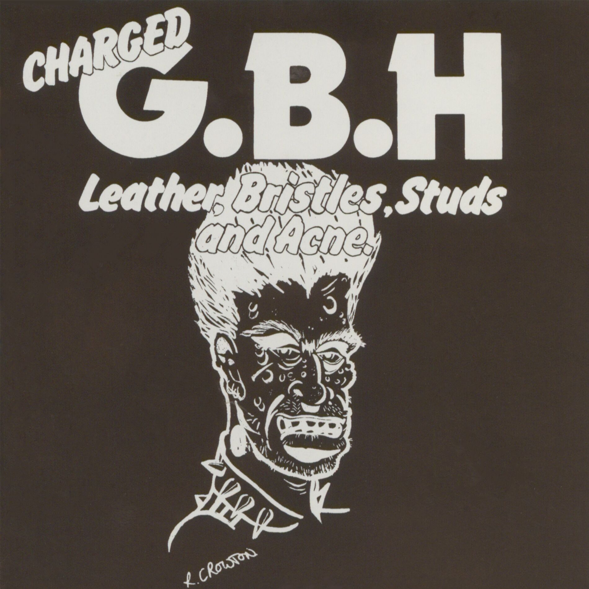 Album cover of Leather, Bristles, Studs and Acne