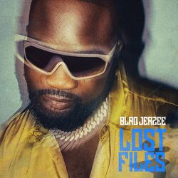 Cover of Lost Files