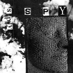 Cover of The Resurrection