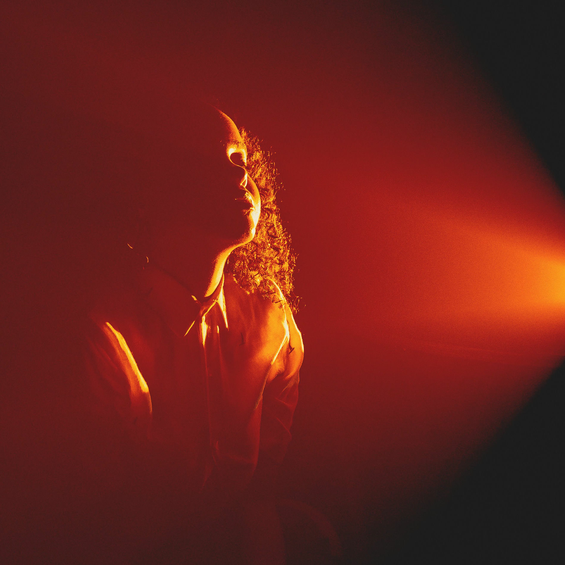 Album cover of O Elefante da Sala