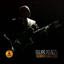 Cover of Tiempo Perfecto