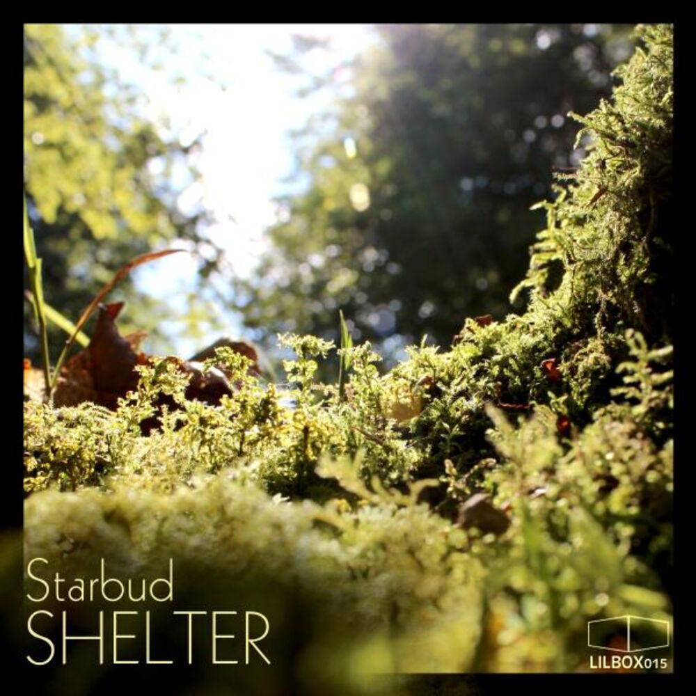 Picture of Shelter