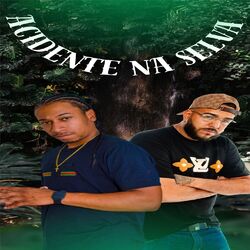 Cover of Acidente na Selva