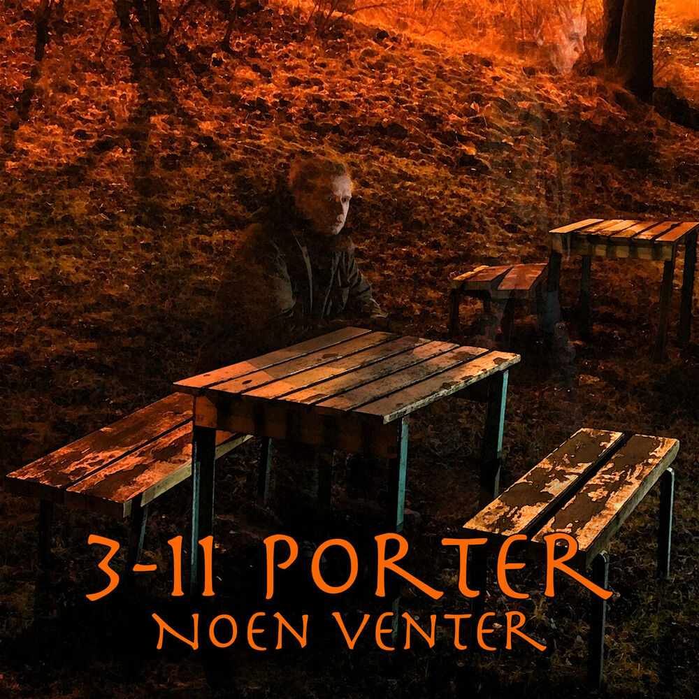 Picture of Noen venter