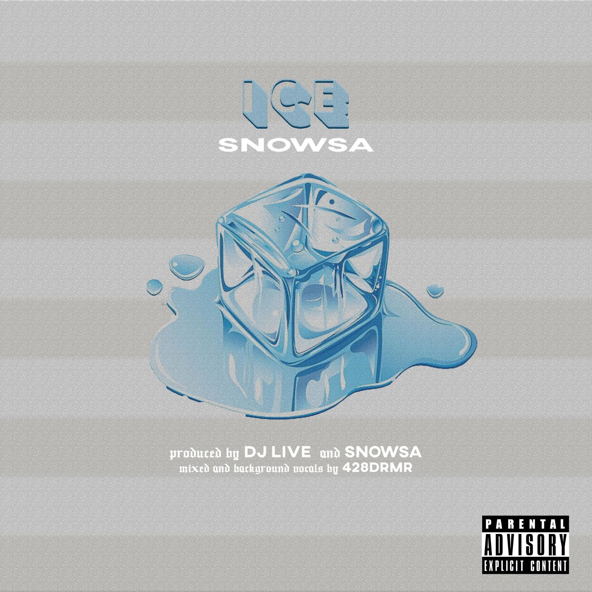 Album cover of Ice