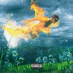 Cover of ps… it burned in the rain