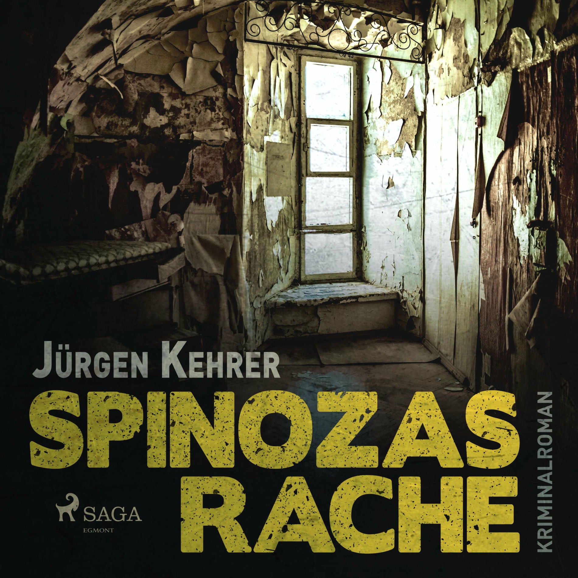 Album cover of Spinozas Rache - Kriminalroman (Ungekürzt)